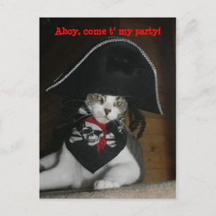 Customizable Funny Pirate Cat Postcard