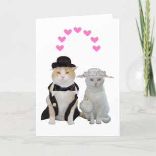 Customizable Funny, Pretty Cats Valentine Holiday Card