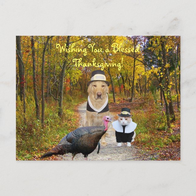 Customizable Funny Thanksgiving Postcard (Front)