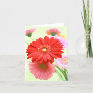 Customizable Gerber Daisies Card