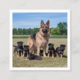Customizable German Shepherd with Adorable Puppies Square Business Card