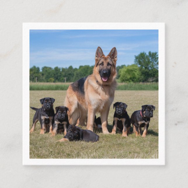 Customizable German Shepherd with Adorable Puppies Square Business Card (Front)