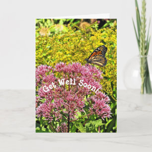 CUSTOMIZABLE GET WELL CARD/BUTTERFLY ON FLOWER CARD