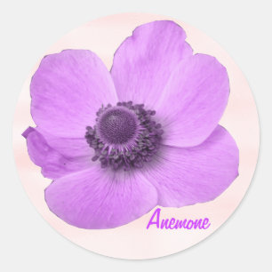 Customizable Girly Pink Anemone Sticker