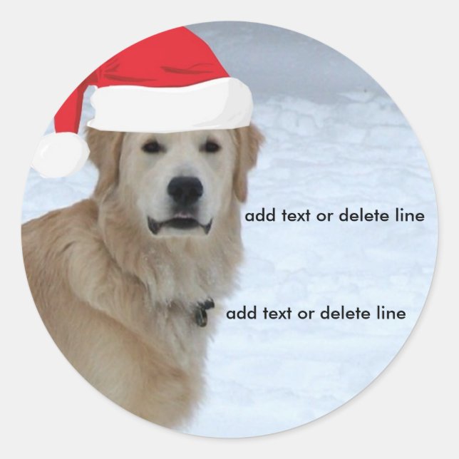 Customizable Golden Retriever Santa Hat Sticker (Front)