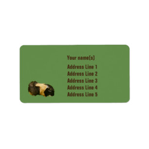 Customizable Guinea Pig Address Labels