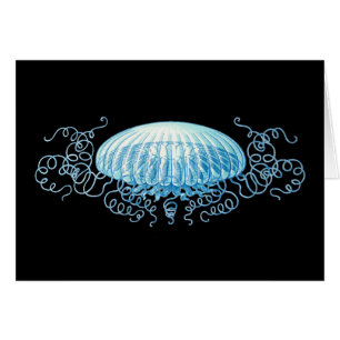 Customizable Haeckel Jellyfish