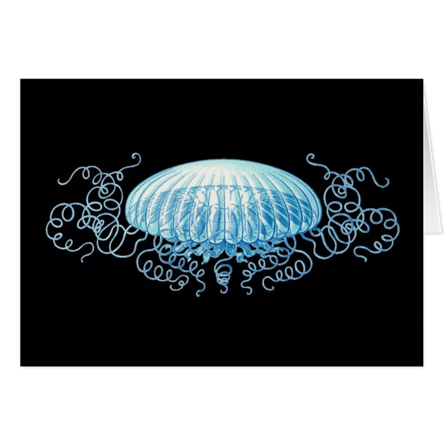 Customizable Haeckel Jellyfish (Front Horizontal)