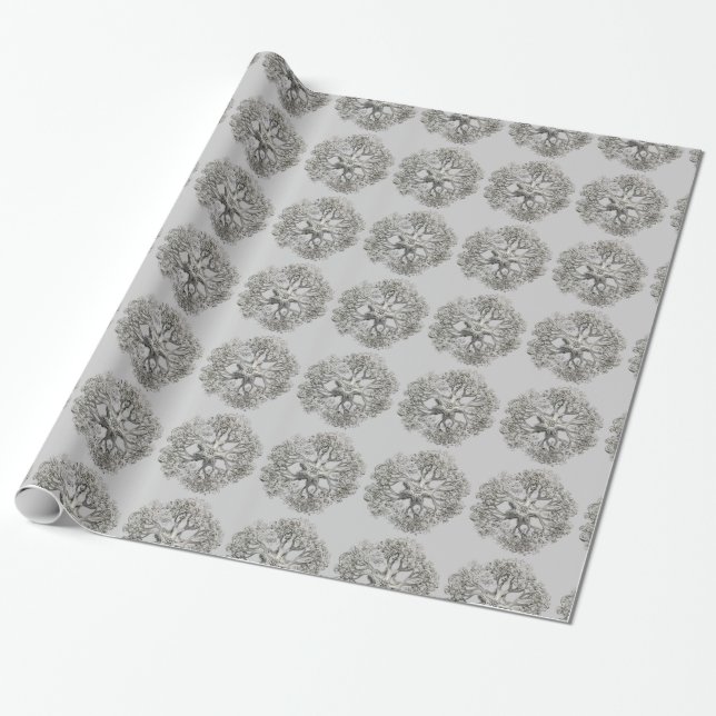 Customizable Haeckel Wrapping Paper (Unrolled)