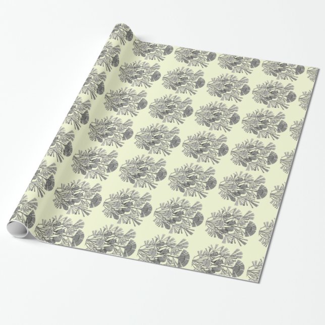 Customizable Haeckel Wrapping Paper (Unrolled)