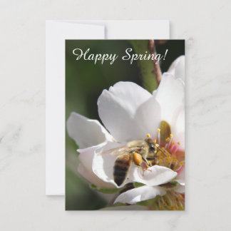 Customizable "Happy Spring" Card with Bee Photo