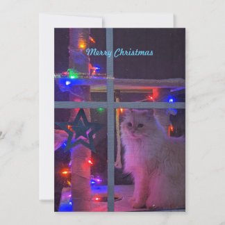 Customizable holiday card. card