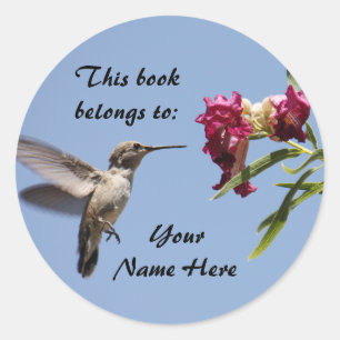 Customizable Hummingbird Sticker