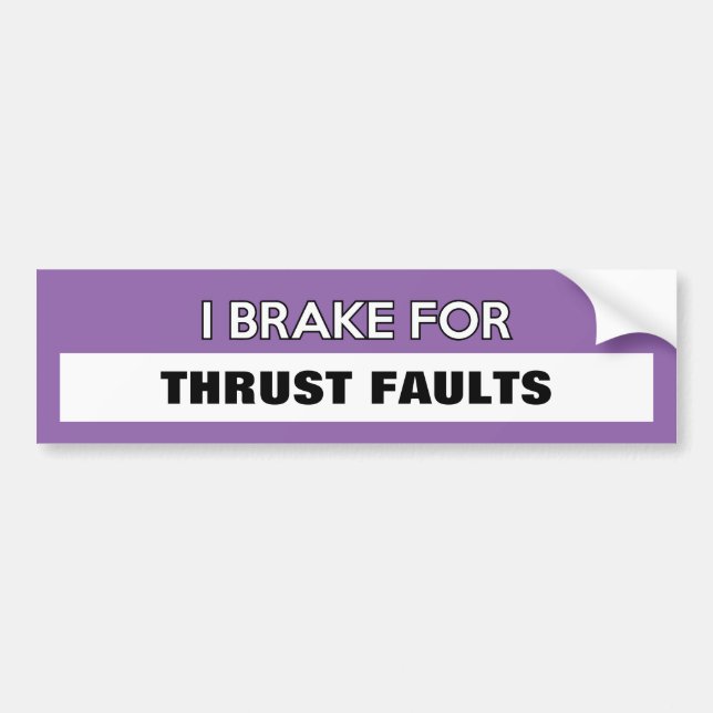 Customizable "I Brake For..." Bumper Sticker (Front)
