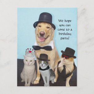 Customizable Invitation Postcard