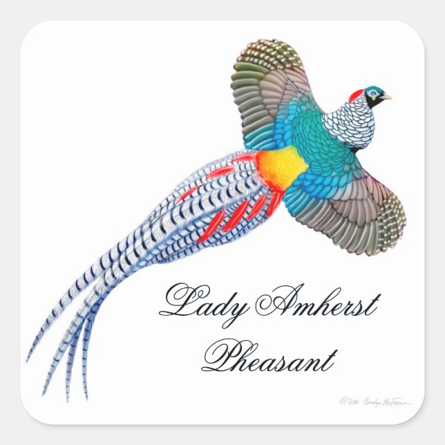 Customizable Lady Amherst Sticker (Front)