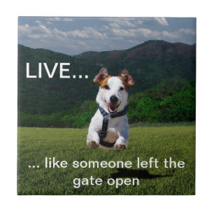 Customizable "Live Like Someone..." Tile