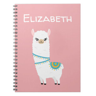 Customizable Llama Notebook