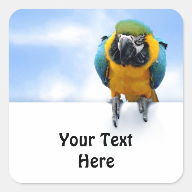 Customizable Macaw Square Sticker (Front)