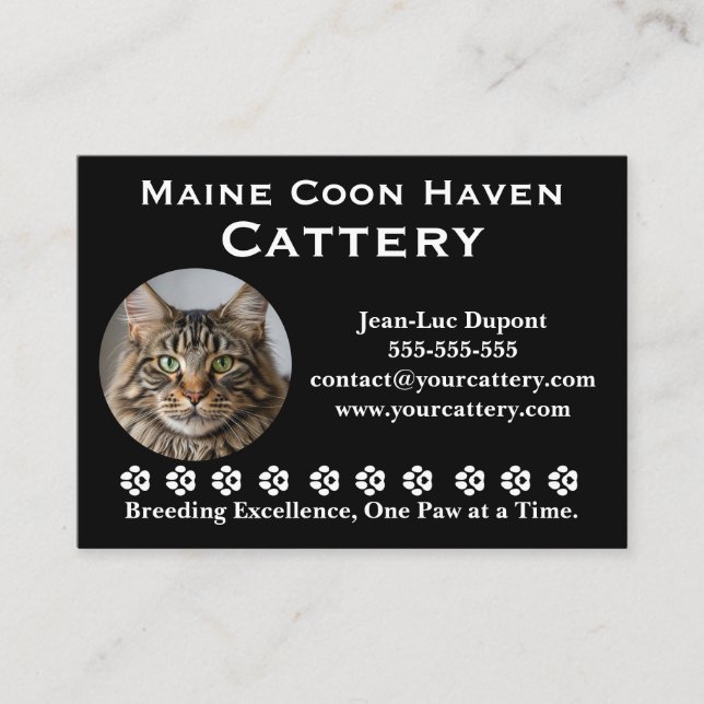 Customizable Maine Coon Cattery Business Card (Front)