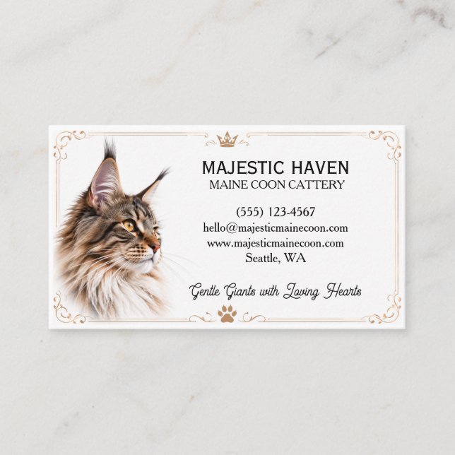 Customizable Maine Coon Cattery Business Card  (Front)