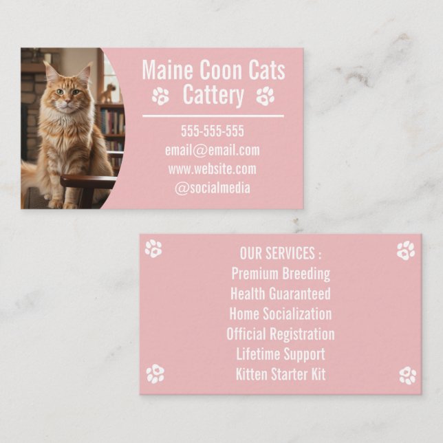 Customizable Maine Coon Cattery Business Cards (Front/Back)