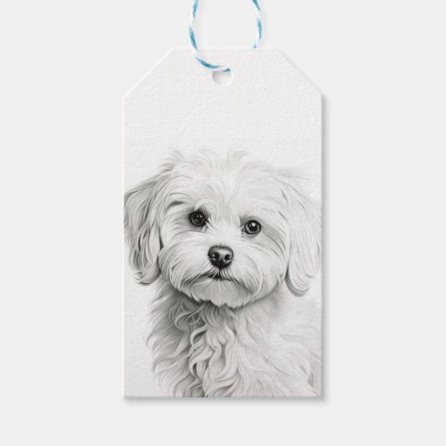 Customizable Maltese  Gift Tags (Front)