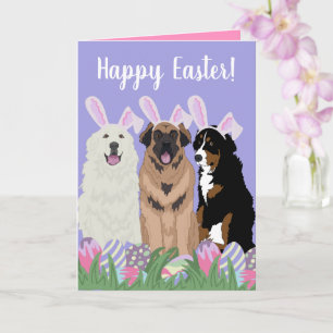 Customizable Mountain Dog Easter Card