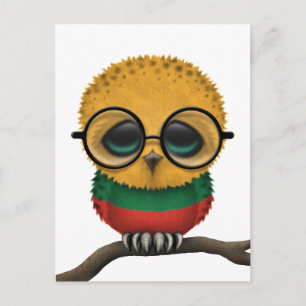 Customizable Nerdy Lithuanian Baby Owl Chic Postcard
