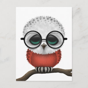 Customizable Nerdy Polish Baby Owl Chic Postcard