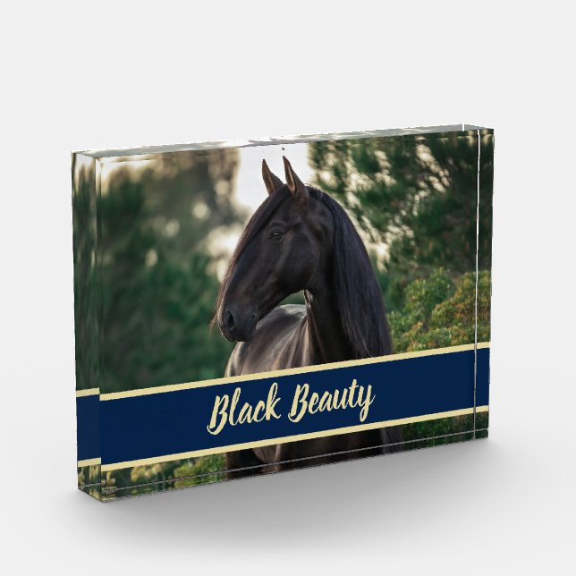 Customizable/Personalized Horse Photo w/ Show Name (Left)