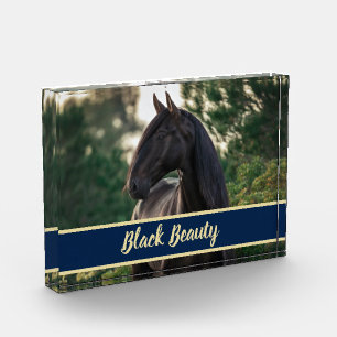 Customizable/Personalized Horse Photo w/ Show Name Block