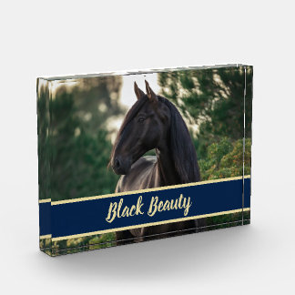 Customizable/Personalized Horse Photo w/ Show Name Block