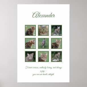 Customizable Pet Celebration Poster