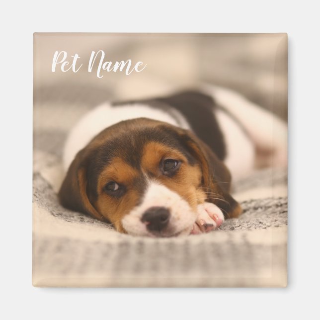 Customizable Pet Magnet with Photo and Name (Front)