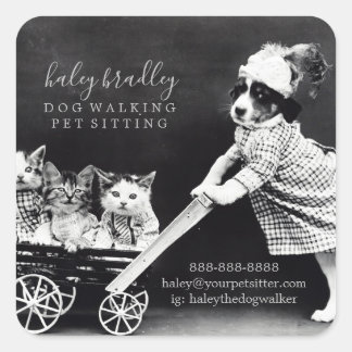 Customizable Pet Sitting Grooming Services Square Sticker