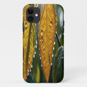 Customizable Phone Case – Create Your Own Design!