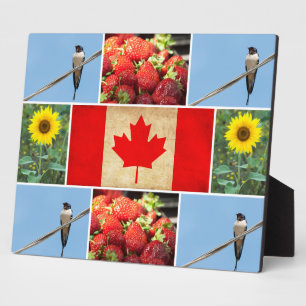 Customizable photo collage & Flag of CANADA Plaque