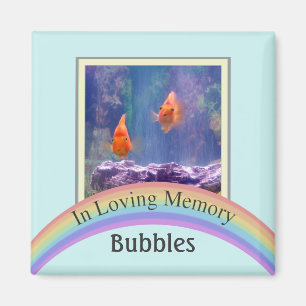 Customizable Photo Pet Memorial (Aqua) Magnet
