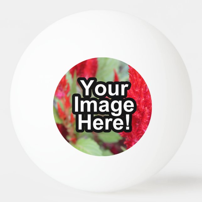 Customizable Ping Pong Ball (Front)