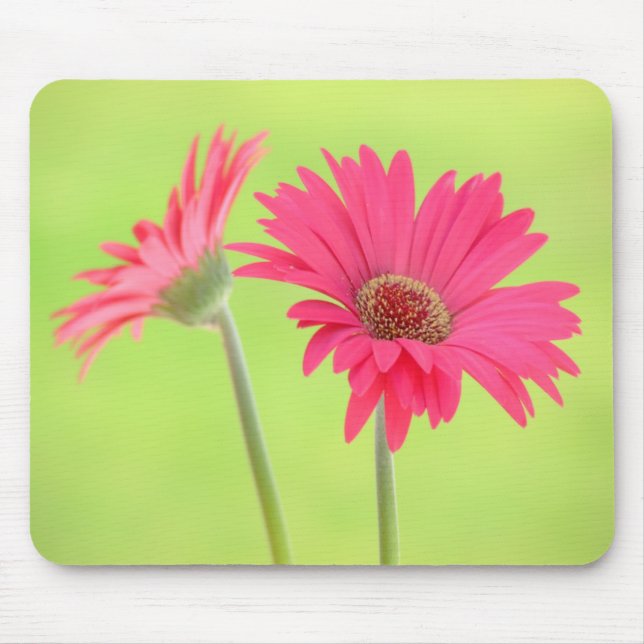 Customizable Pink Gerber Daisies on Green Mousepad (Front)