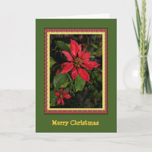 Customizable  Poinsettia Christmas Card