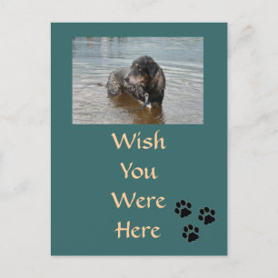 Customizable Postcard