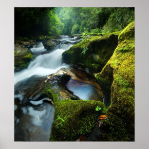Customizable Poster: Chattooga River Waterfall Poster