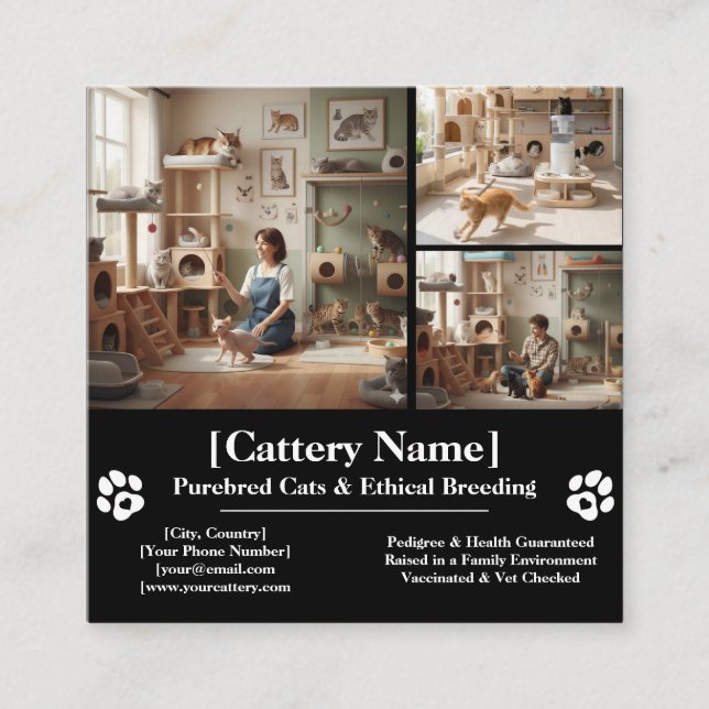 Customizable Professional Cattery and Cat Breeder  Square Business Card (Front)