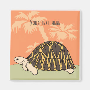 Customizable Radiated Tortoise Magnet 3