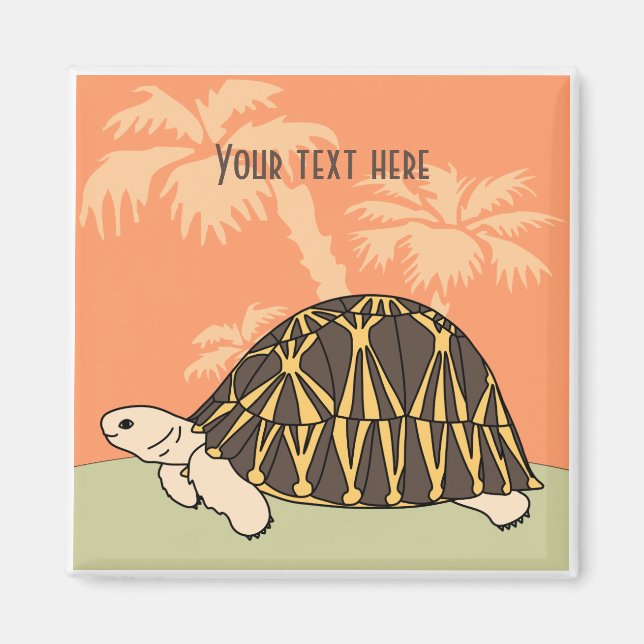 Customizable Radiated Tortoise Magnet 3 (Front)