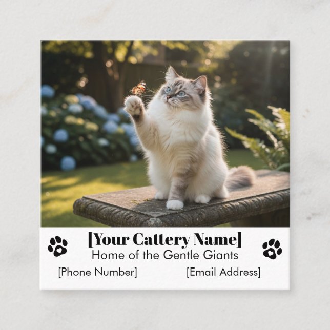 Customizable Ragdoll Cattery Business Card  (Front)
