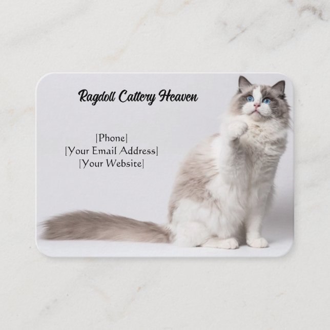 Customizable Ragdoll Cattery Business Card (Front)