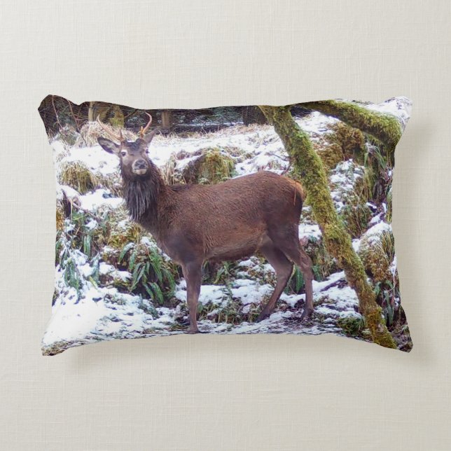 Customizable Red Deer Stag in Snow Cushion (Front)